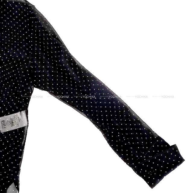 Dior Blouse Ascot ribbon tie dotted pattern sheer Noir (Black) Silk 34 441B59A6176[BRAND NEW][Authentic]