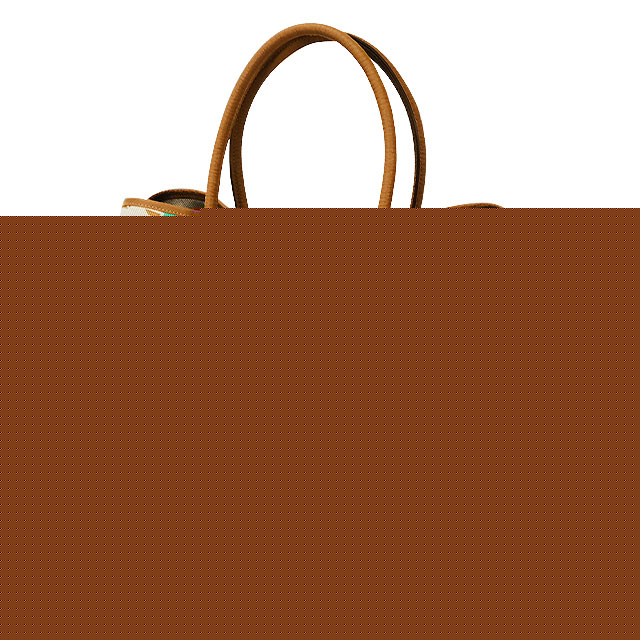 HERMES tote bag Garden Party 36 PM Électrique Capucine(9T)/Ecru/Beige(14)/Gold(37) Toile H Plume/Veau Negonda Silver HW Stamp W[EXCELLENT][Authentic]