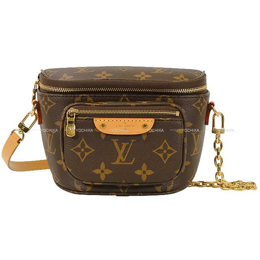 LOUIS VUITTON Shoulder bag Mini Bam bag Brown Monogram Canvas Gold HW M82335[EXCELLENT][Authentic]