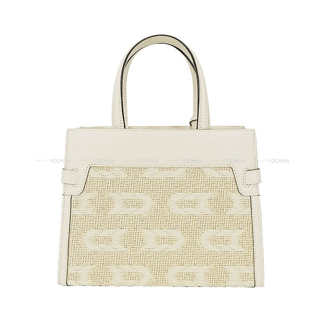 Delvaux Shoulder bag Tempete Crash PM Illusion Blanc (White) Calf /Jacquard Silver HW AA0636BSG0AEBDO[EXCELLENT][Authentic]