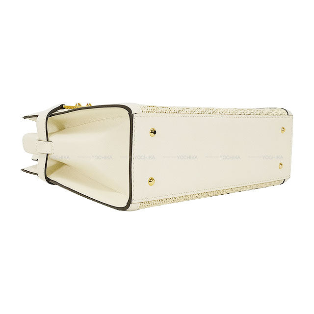 Delvaux Shoulder bag Tempete Crash PM Illusion Blanc (White) Calf /Jacquard Silver HW AA0636BSG0AEBDO[EXCELLENT][Authentic]