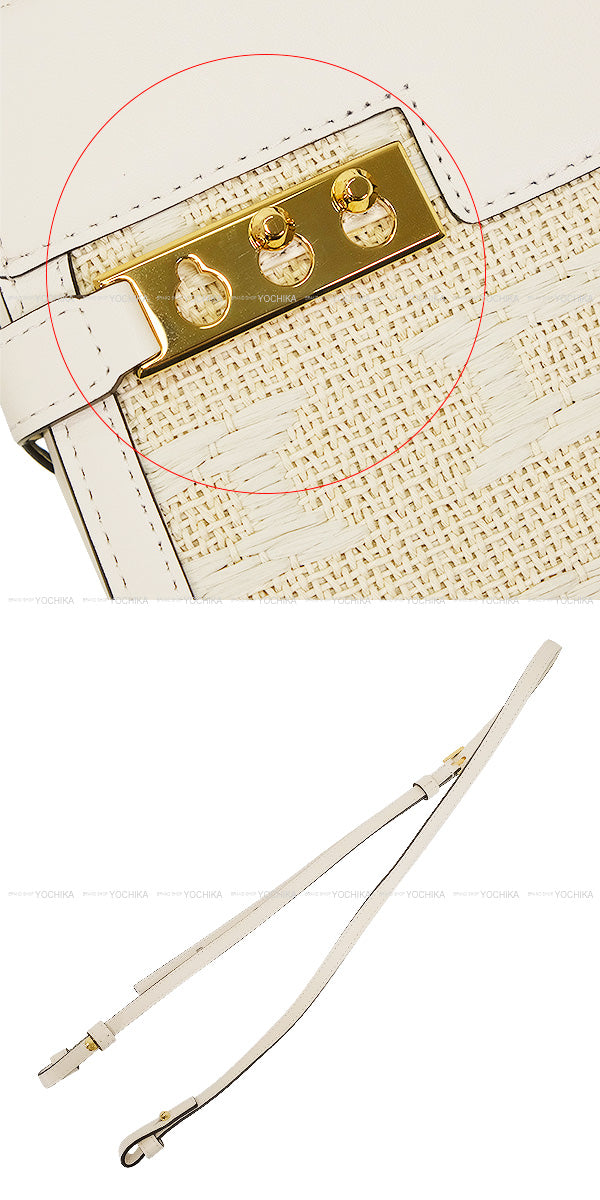 Delvaux Shoulder bag Tempete Crash PM Illusion Blanc (White) Calf /Jacquard Silver HW AA0636BSG0AEBDO[EXCELLENT][Authentic]