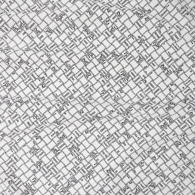 HERMES One‐piece dress Short sleeve t shirt Bolduc  Blanc (White)/Noir (Black) Cotton #44[BRAND NEW][Authentic]