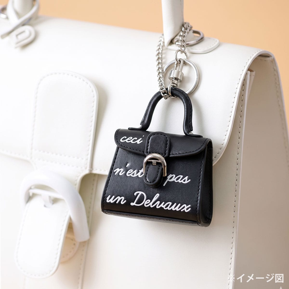 Delvaux bag charm Brillant Mini L'Humour Noir (Black)/Blanc (White) Calf Leather Silver HW[BRAND NEW][Authentic]