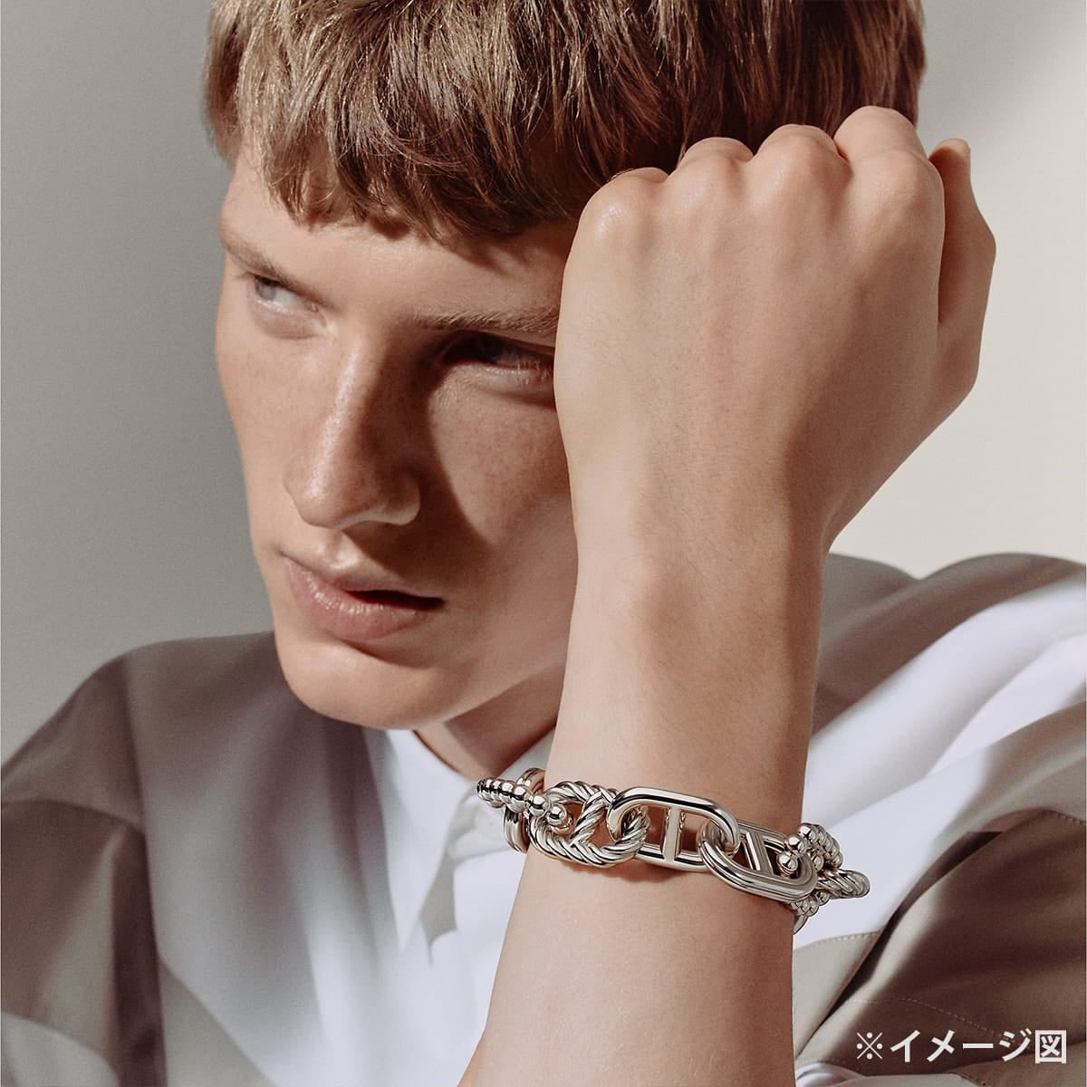 HERMES bracelet Chaine d'Ancre Alea 2 GM #17 Silver Silver925 (SV925 Ag925)[EXCELLENT][Authentic]