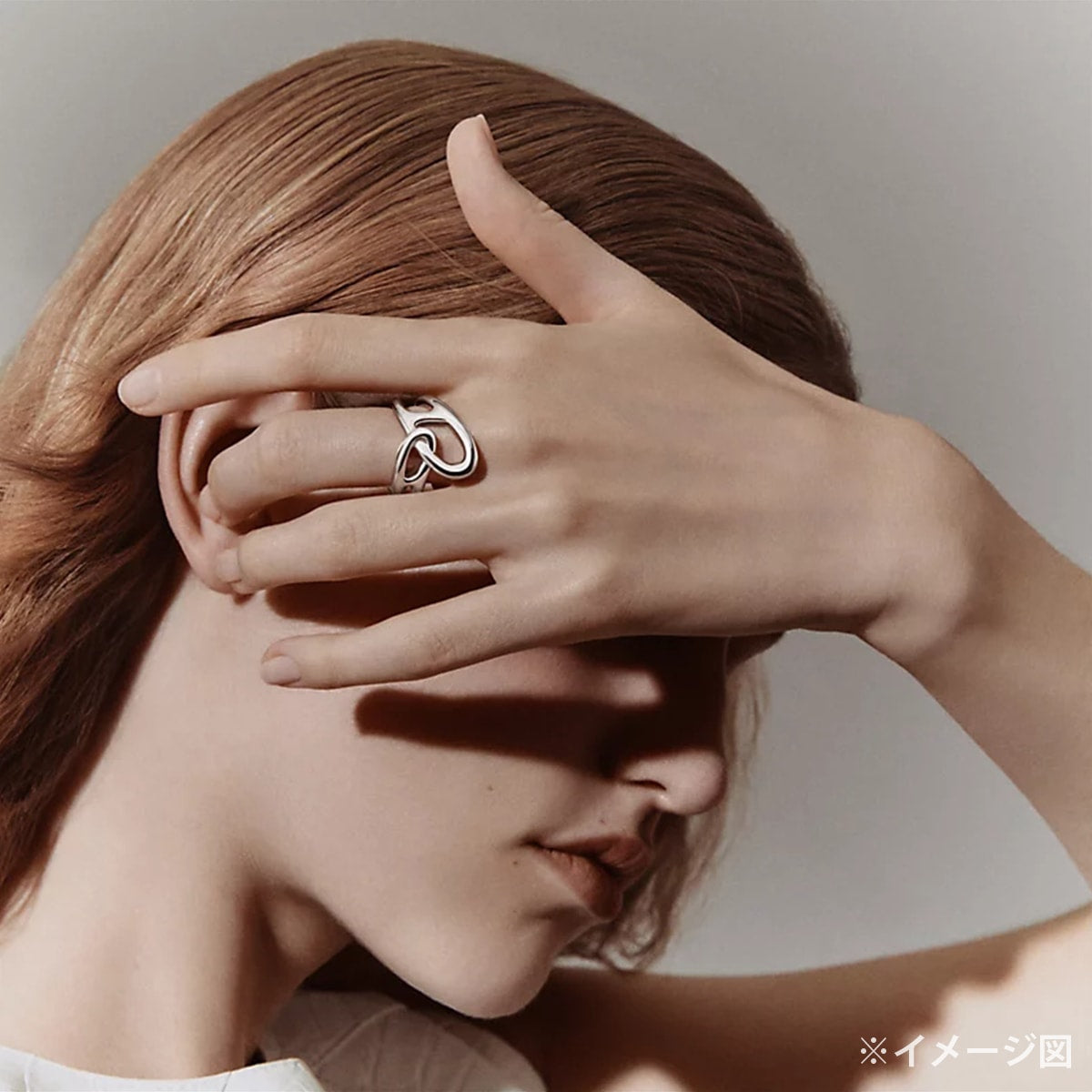 HERMES ring Chaine D'ancre Punk Silver Silver925 (SV925 Ag925) #56[BRAND NEW][Authentic]