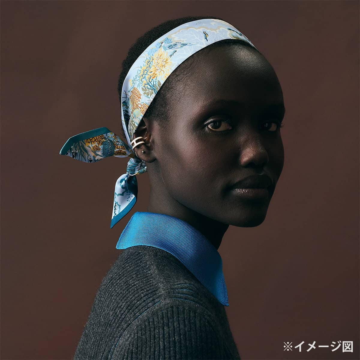 2026AW HERMES scarf Twilly Rewilding NatureBleu Ciel/Marine/Vert Silk100%[BRAND NEW][Authentic]