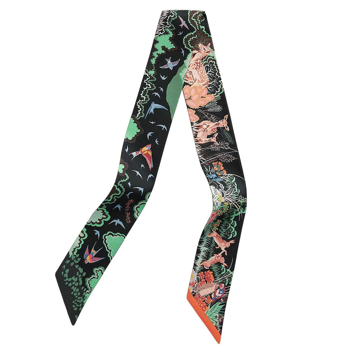 HERMES scarf Twilly Rewilding Nature Ebene/Green/Corail Silk100% H064297S 01[BRAND NEW][Authentic]