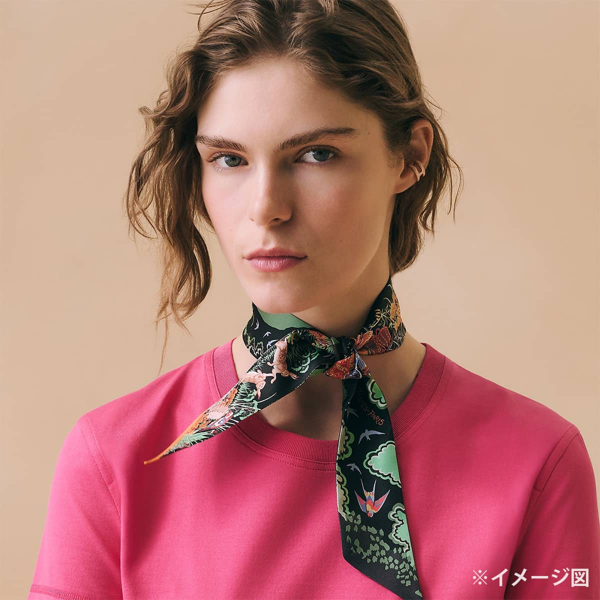 HERMES scarf Twilly Rewilding Nature Ebene/Green/Corail Silk100% H064297S 01[BRAND NEW][Authentic]