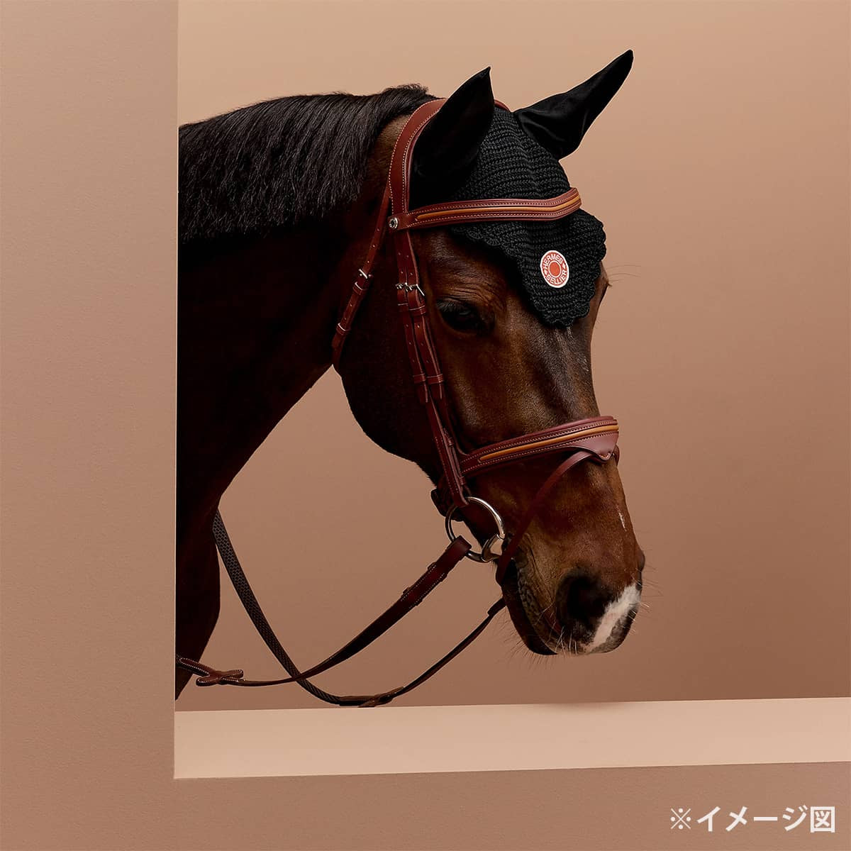 HERMES Horse Ear hood Fly bonnet Noir (Black) Cotton100% Ears: Polyester65% / Cotton35%[EXCELLENT][Authentic]